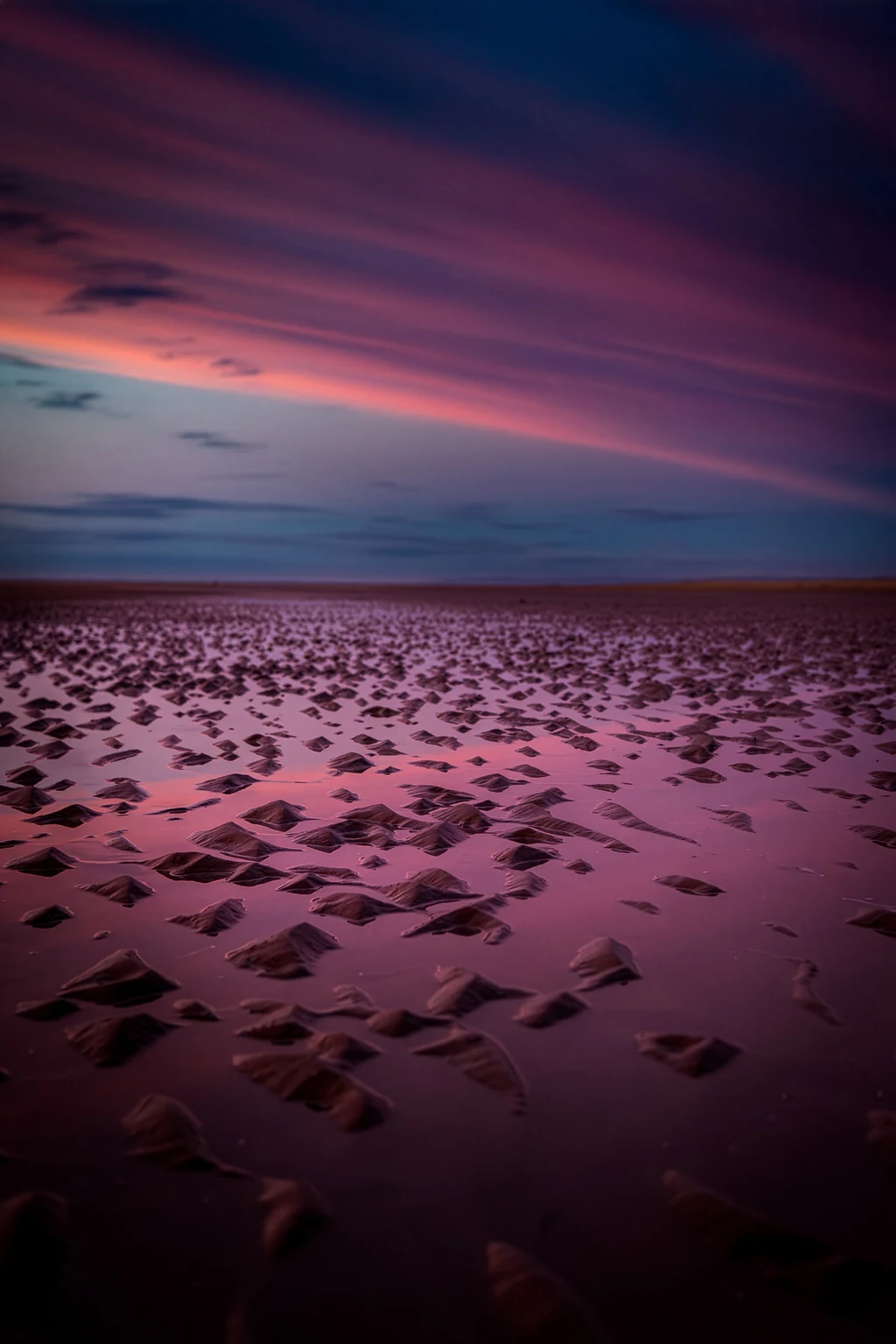 The beach at night under a deep purple sky