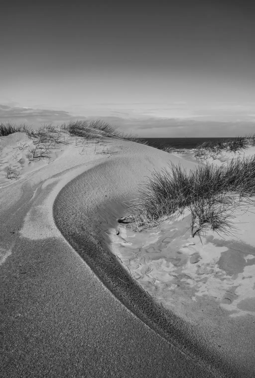 The Sand Bank
