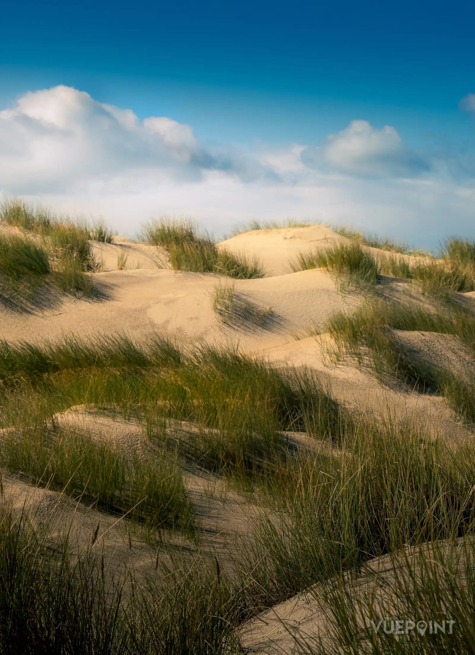 Sand dunes and marram grass under a bright blue sky