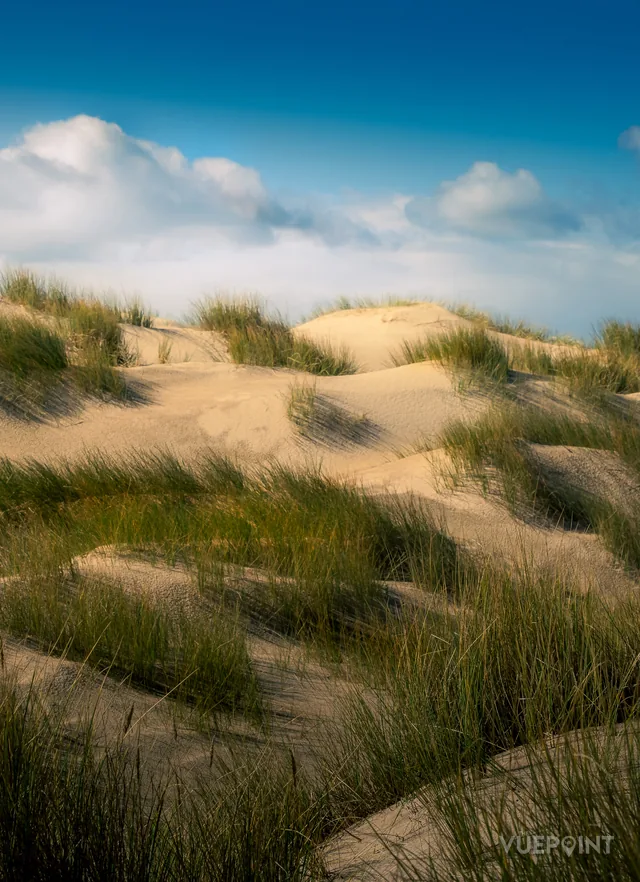 Sand dunes and marram grass under a bright blue sky
