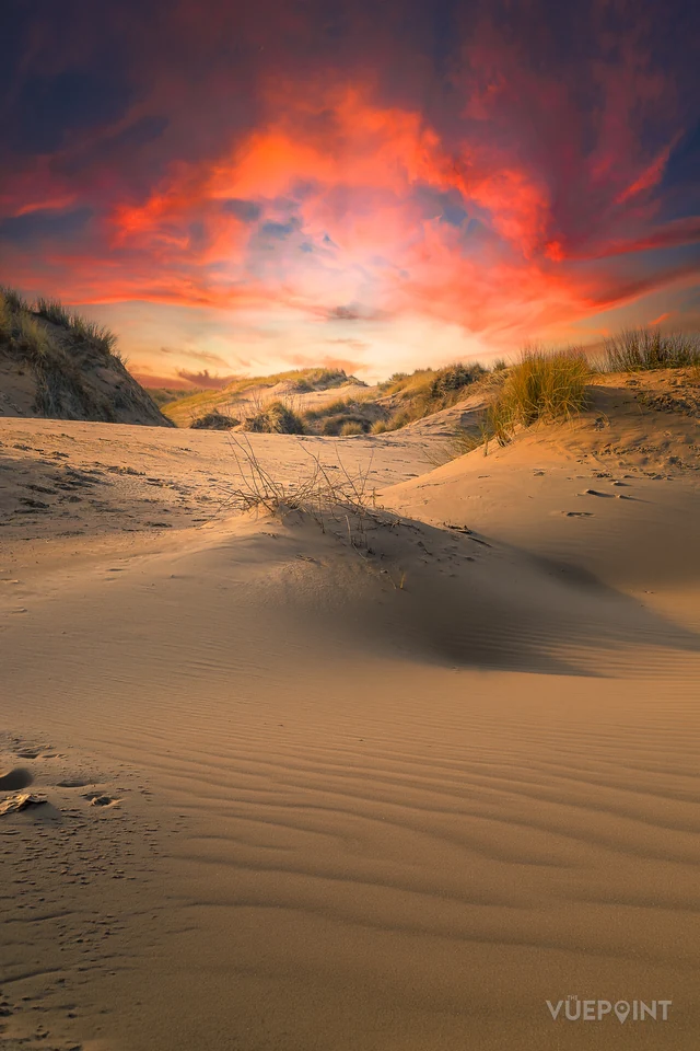 Footprints leading away over a sandhill at Ainsdale