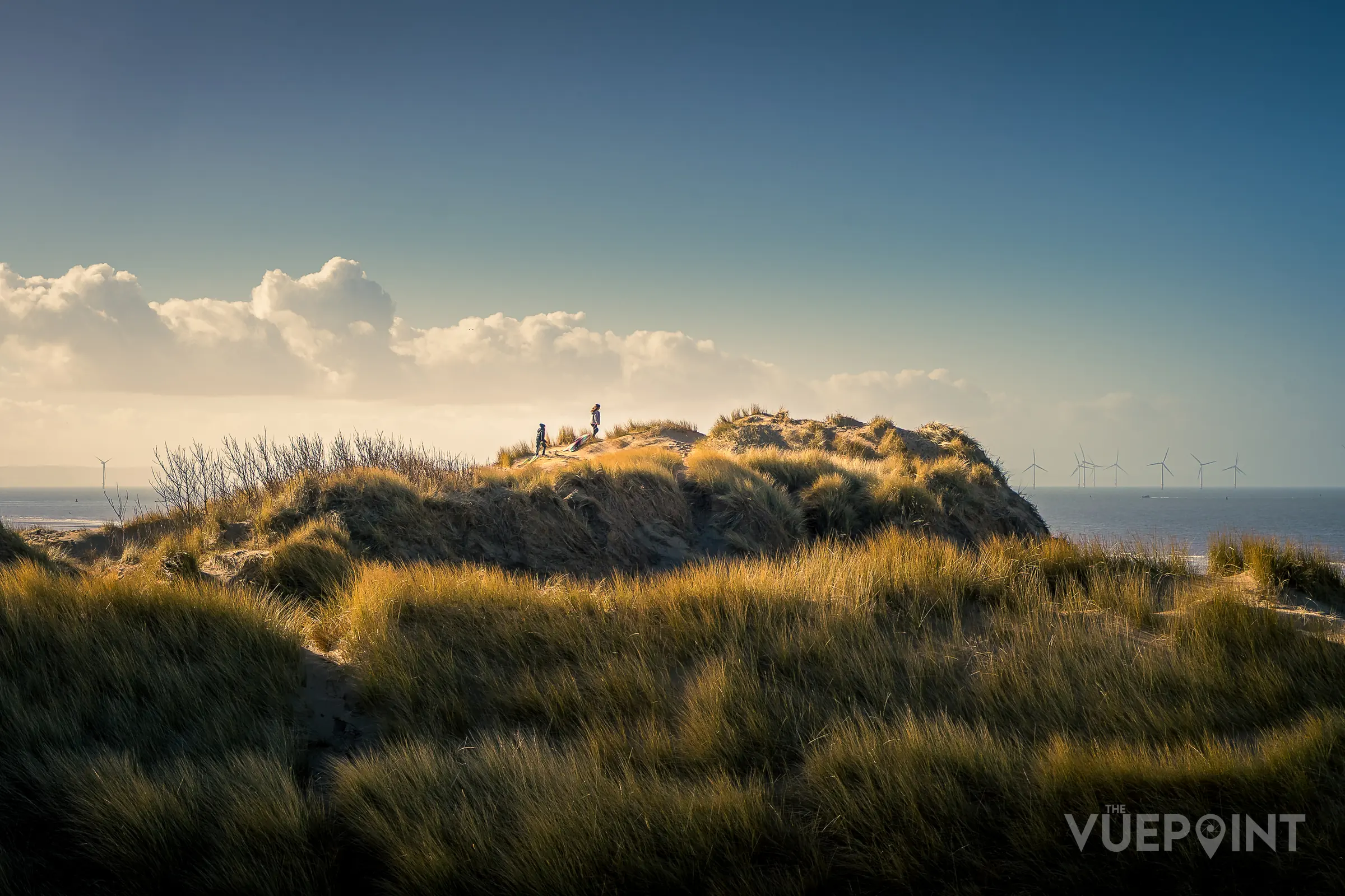 Marram grass on the dune edge with the sea beyond