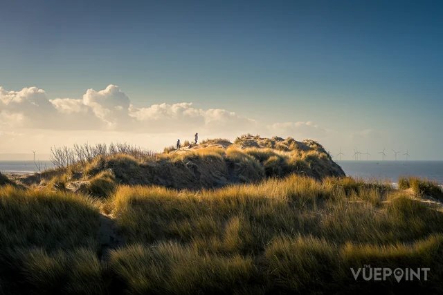 Marram grass on the dune edge with the sea beyond