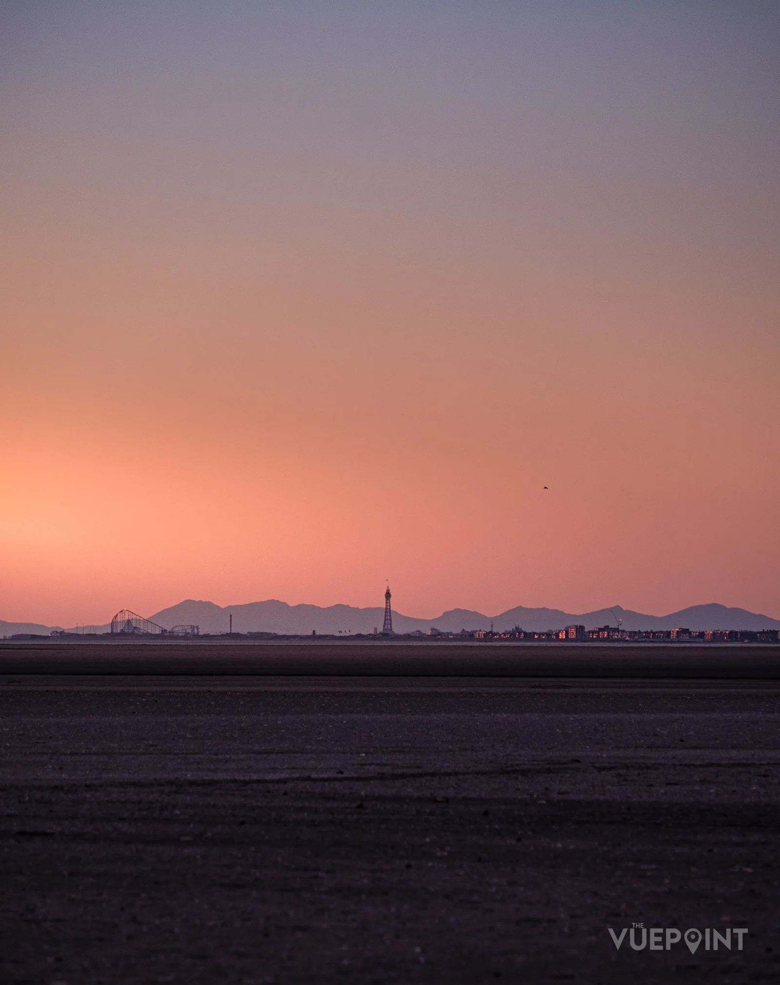 A pink dawn over flat wet sand, the coast a thin line on the horizon