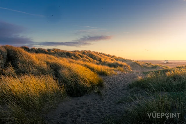 A sandy path winding through marram-covered dunes at golden hour