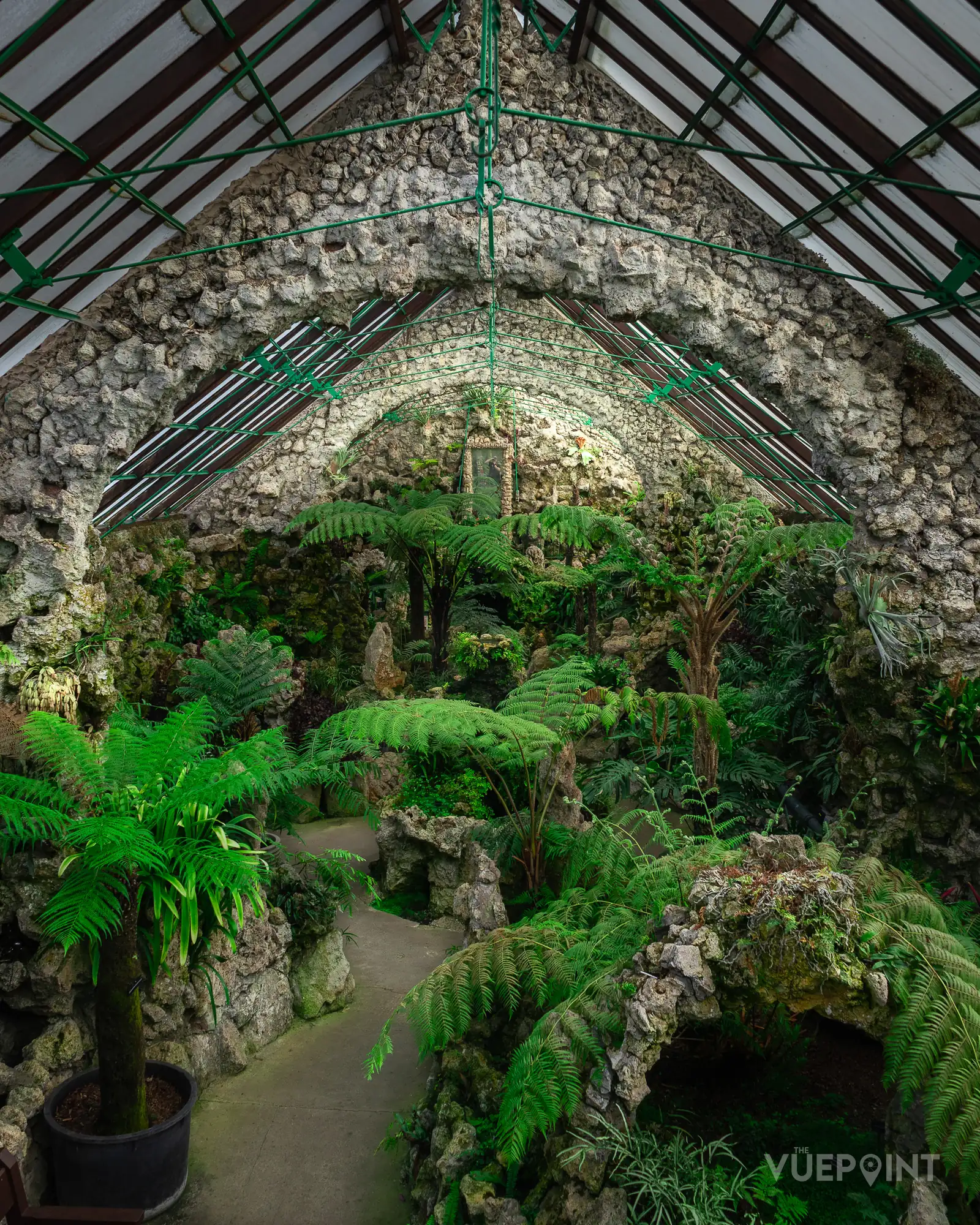 Inside a Victorian glasshouse, ferns and stonework under an iron roof