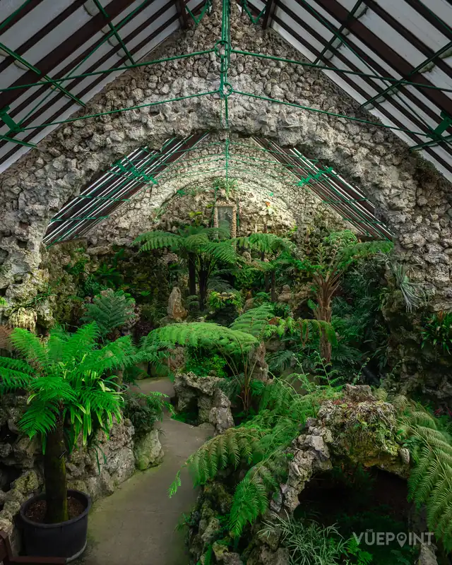 Inside a Victorian glasshouse, ferns and stonework under an iron roof