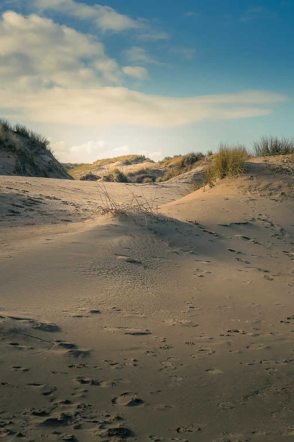 Footprints in the Dunes