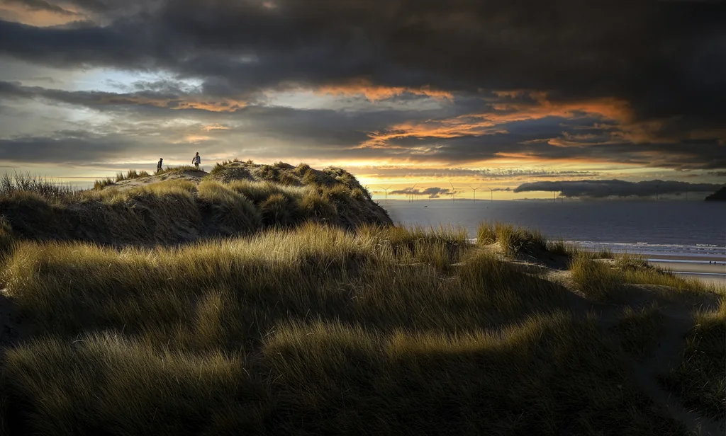 Marram Grass and the Sea