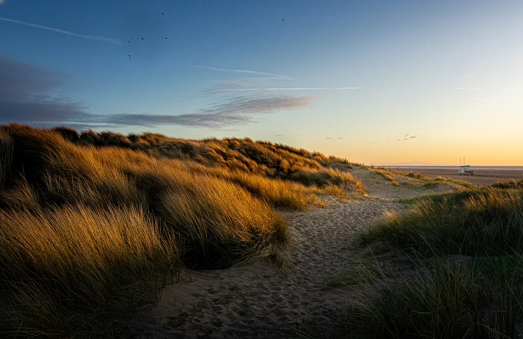 The Path Through the Dunes
