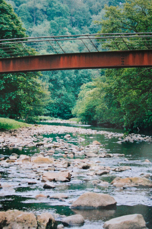 The VuePoint Photography I Copyright 2020