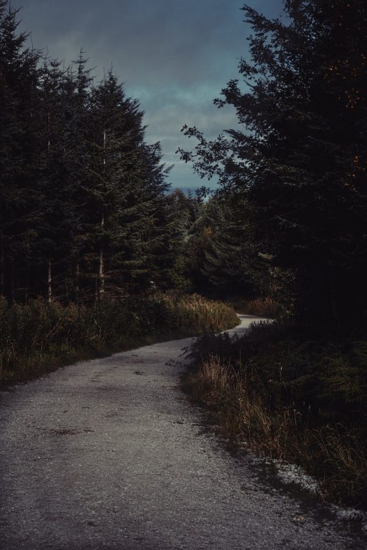 Using Paths in Woodland Photos