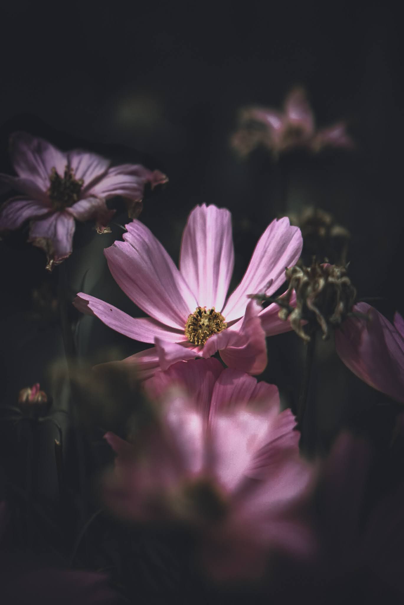 Photography’s 3 Colour Rule – You Should Know