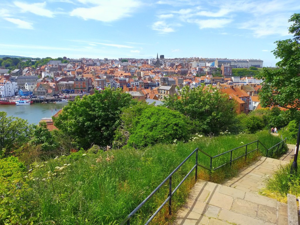 Copyright 2021 Stephen Walton All Rights Reserved