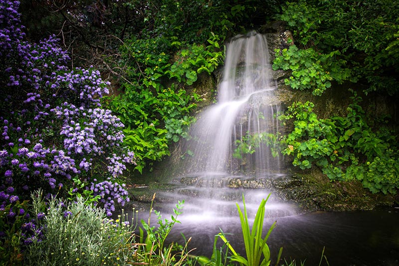 The waterfall at the secret garden in Ness Gardens in the Wirral