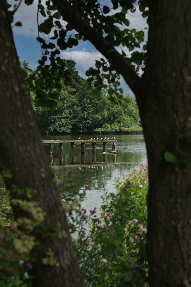 Tatton Park, Cheshire