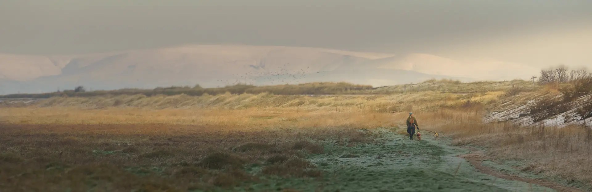 Southport Marine Drive The VuePoint